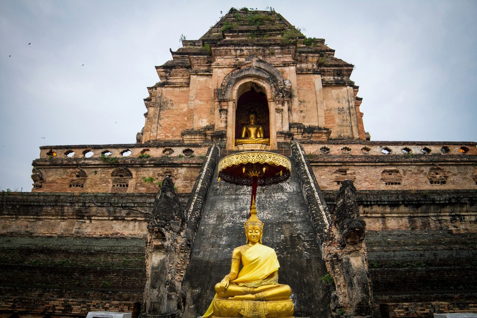 Wat Chedi Luang reser sig i Chiang Mais gamla stan