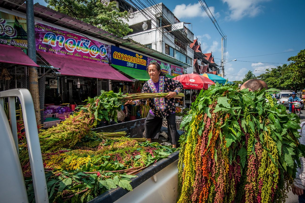 Marknader i Chiang Mai — hela guiden