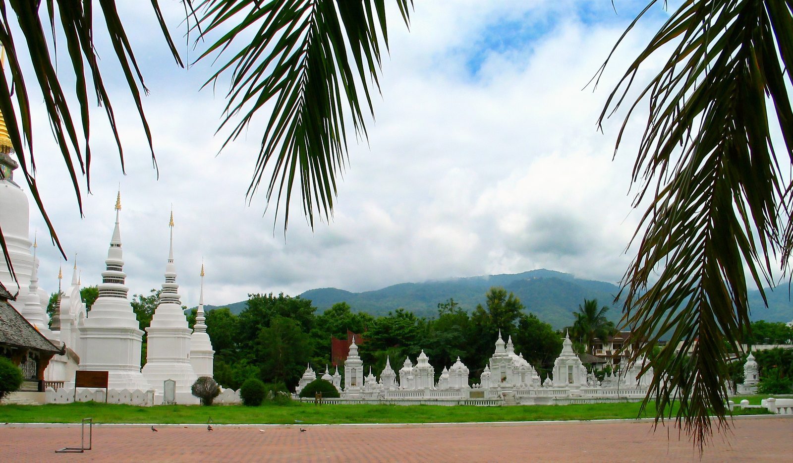 Wat Suan Dok — vita chedier och solnedgång